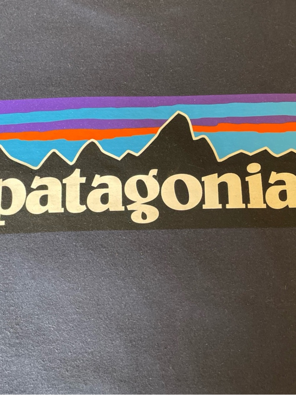Patagonia Responsibili Tee Shirt T-Shirt Men’s Small Navy Blue Box Logo Graphic - Picture 6 of 6